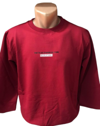 Свитшоты мужские оптом 32710684 0002-73