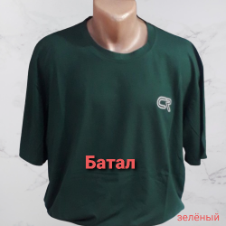 Футболки мужские БАТАЛ оптом 51673982 008-236