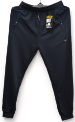 Спортивные штаны мужские (темно-синий) оптом 18936502 WK7112-21