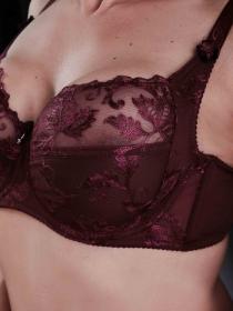 Бюстгальтер Finikin 3012D (  бордовый, D  6 шт. )