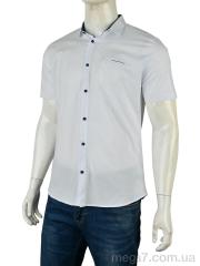 Рубашка, Мир оптом 4392-2108 white