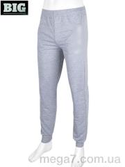 Спортивные брюки, BIG оптом 3967-1 grey