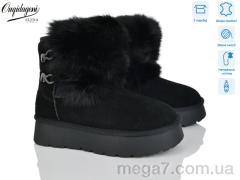 Угги, Dageni оптом HA5889-1B