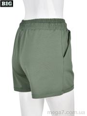 Шорты, BIG оптом --- 4042-3 green