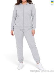Спортивный костюм, Sport style оптом 111-1023 св.сірий