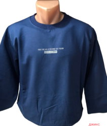 Свитшоты мужские оптом 53247160 0002-72