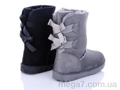 Угги, Class Shoes оптом UGM11 mix