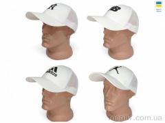 Кепка, Mabi оптом 0065 mix