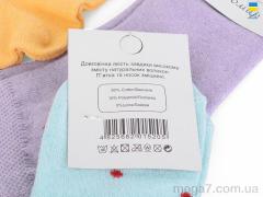 Носки, Textile оптом E249 mix