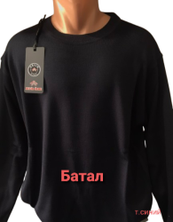 Свитера мужские БАТАЛ оптом 19743568 47-72