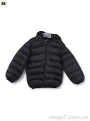 Куртка, BIG оптом 3791-17 black