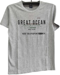 Футболки мужские оптом 17026584 611-237