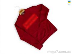 Кофта, Sport style оптом 81SU бордовий