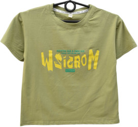 Футболки детские оптом 01578439 504-78