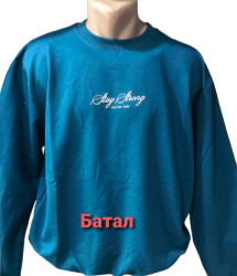 Свитшоты мужские БАТАЛ оптом 49751830 9087-31