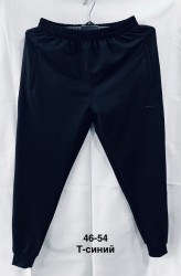 Спортивные штаны мужские оптом 53216709 4654-41