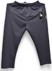 Спортивные штаны мужские БАТАЛ (серый) оптом 79803526 003-7