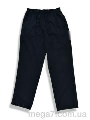Спортивные брюки, Денис спорт оптом 008-1 navy