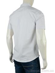 Рубашка, Мир оптом 4392-2108 white