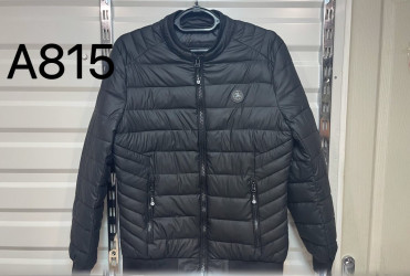 Куртки демисезонные мужские (черный) оптом 51934687 815-7