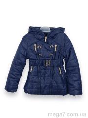 Куртка, Obuvok оптом DXB8018-1 blue (07168)