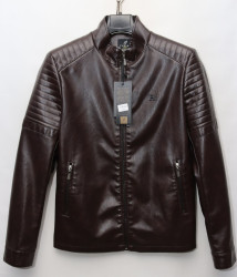 Куртки кожзам мужские FUDIAO (brown) оптом 72463019 1850-95