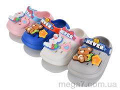 Шлепки, Family оптом --- S73 mix