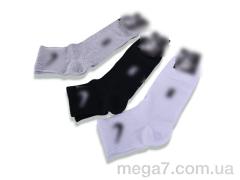 Носки, Textile оптом T358 mix
