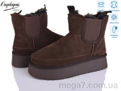 Угги, Dageni оптом OQ005-19