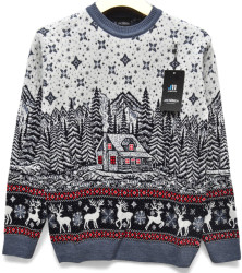 Светри чоловічі оптом