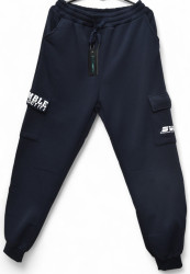 Спортивные штаны мужские на флисе оптом 37205684 6722-65