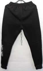 Спортивні штани чоловічі на флисі (чорний) оптом  