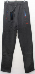 Спортивные штаны мужские на флисе (серый) оптом 31690254 L6702-1