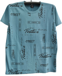 Футболки мужские оптом 70234569 211-231