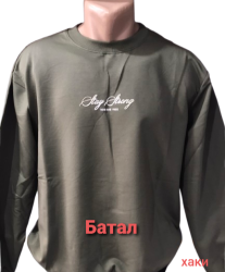 Свитшоты мужские БАТАЛ оптом 35674982 0103-14
