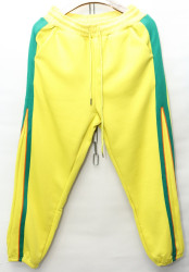 Спортивные штаны женские БАТАЛ на меху оптом 97504628 F71112-17