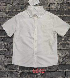 Рубашки мужские оптом 05649723 6042-35