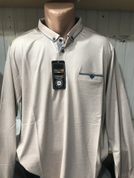 Поло мужские БАТАЛ оптом 87293561 96-15