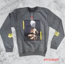 Світшоти чоловічі оптом        