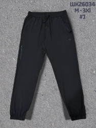 Спортивные штаны мужские оптом 62901547 026034-46