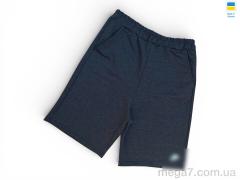 Шорты, Sport style оптом 02NK т.сірий
