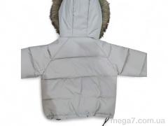 Куртка, Kids-modnik оптом 8834-1 фісташковий