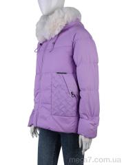 Куртка, Obuvok оптом 2276 (12043) violet
