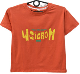 Футболки детские оптом 48690175 504-74