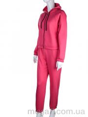 Спортивный костюм, Мир оптом 2695-4 pink