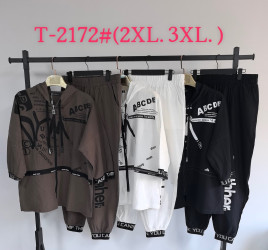 Костюмы женские БАТАЛ оптом 47592603 Т-2172-73