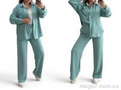 Спортивный костюм, Alisa Brand оптом 101 олива