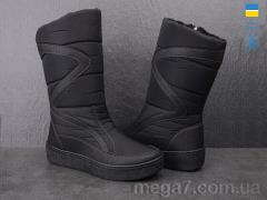 Сапоги, Lvovbaza оптом Paolla 220 чорний
