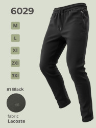 Спортивные штаны мужские оптом 58176403 6029-1