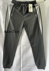 Спортивные штаны мужские (серый) оптом 24615378 2076-22